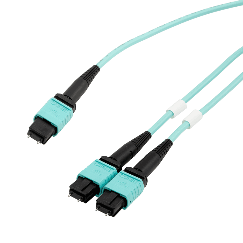 Show me cables Multi-fiber push on MPO Cables